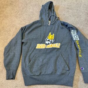 Champion Gray Hoodie with Embroidered Joe Vandals Design